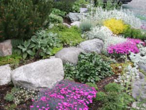 White Garden Stones: 5 Rock Gardens to Love